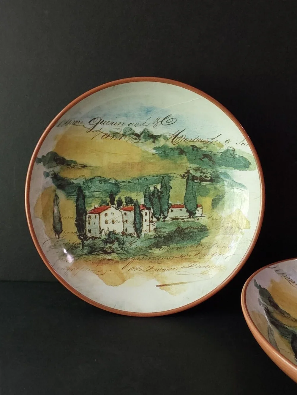 NEW Williams-Sonoma PAYSAGE SOUP/PASTA Bowls (2) 10